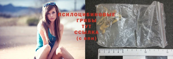 Альфа ПВП Гусиноозёрск