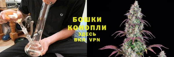 экстази Гусев