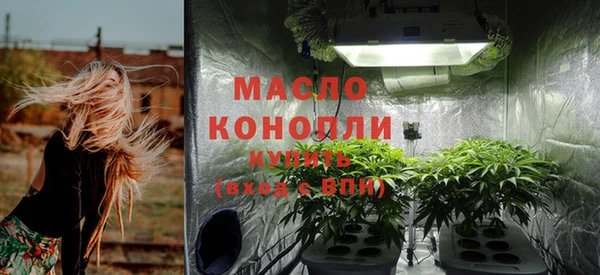экстази Гусев