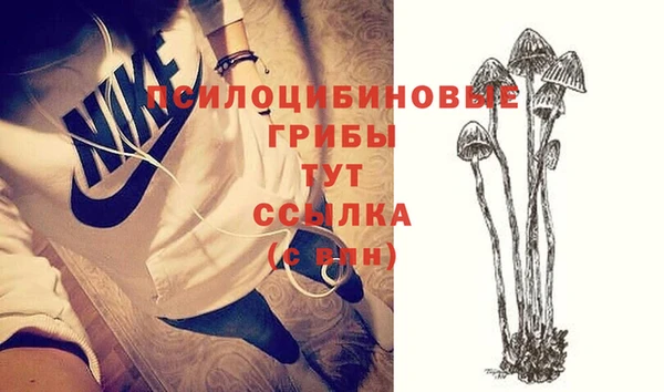 2c-b Гусь-Хрустальный